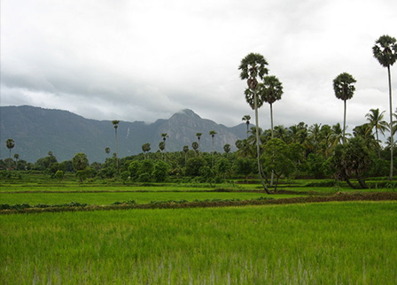 Mayukham Farm House